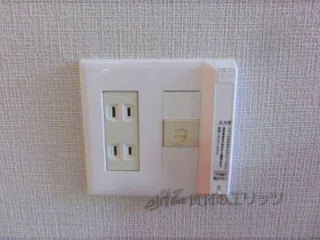 ネット線