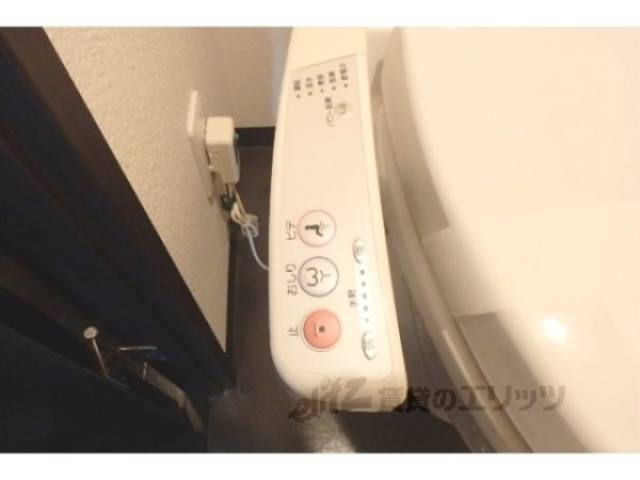 ｳｫｼｭﾚｯﾄ