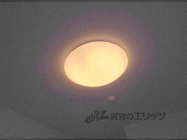 照明