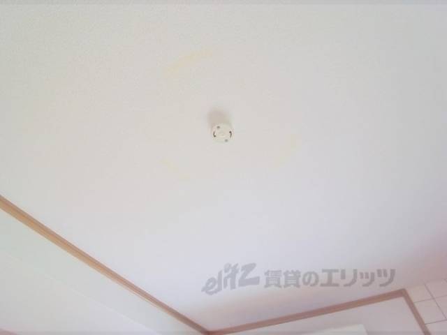 ソケット　照明がつけられます。