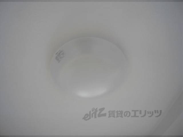 照明