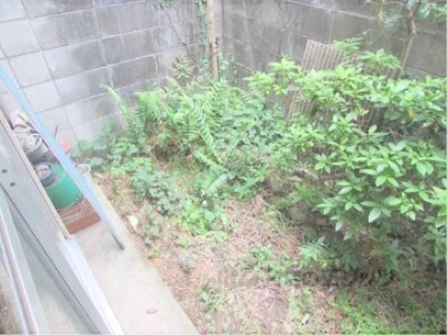 イメージ写真　庭