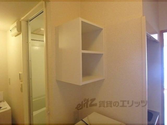 棚