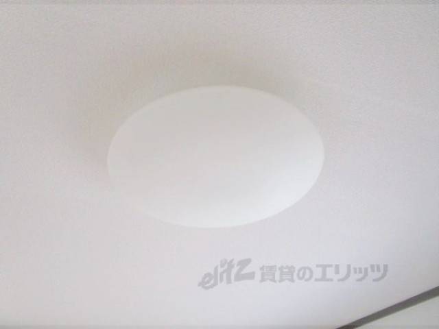 照明