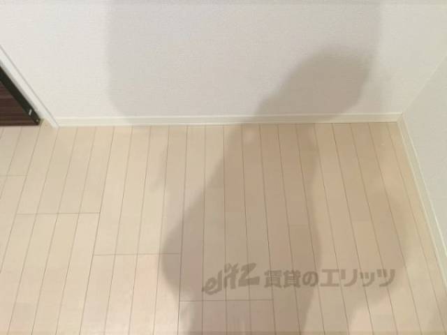 冷蔵庫置場