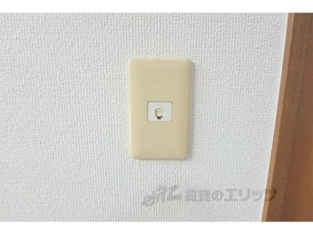 ネットコンセント