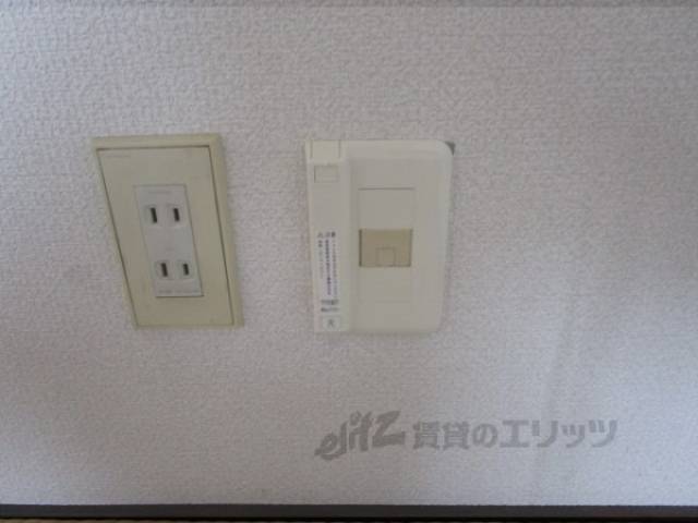 ネット線