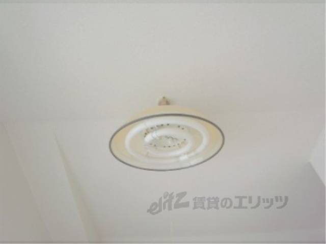 洋室　照明　洋室の照明です