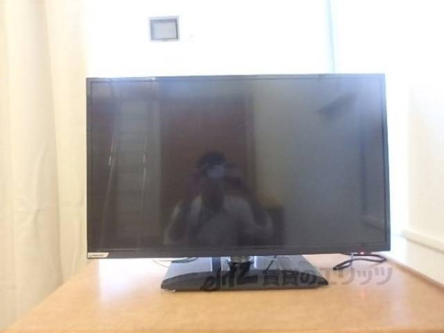 テレビ
