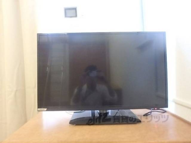 テレビ