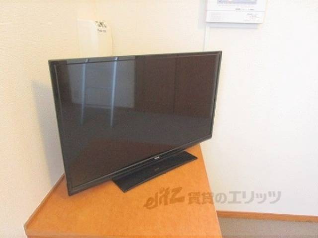 テレビ