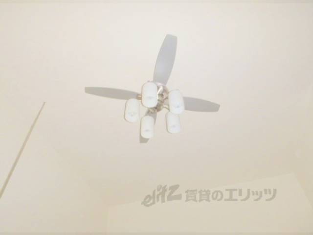 照明