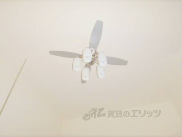 照明
