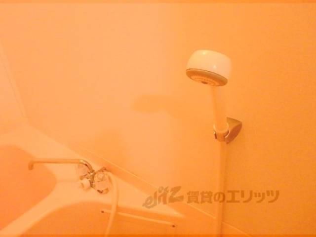 シャワーヘッド