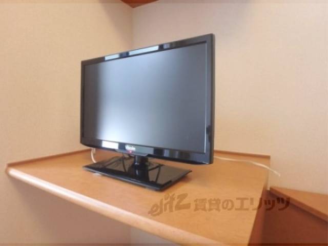 テレビ