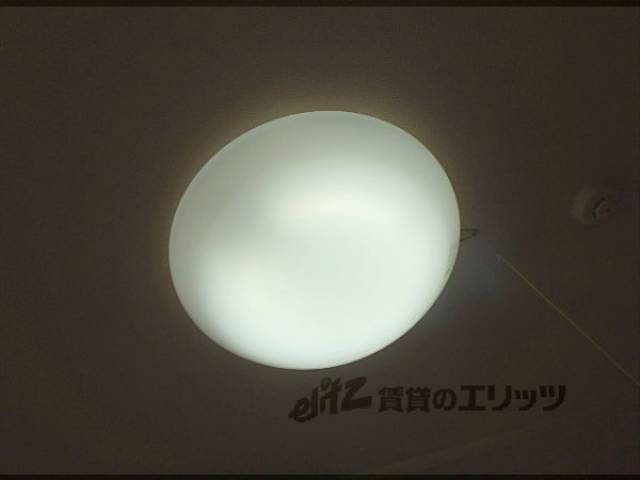 照明