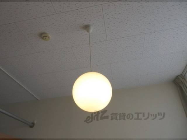 照明