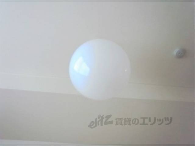 照明