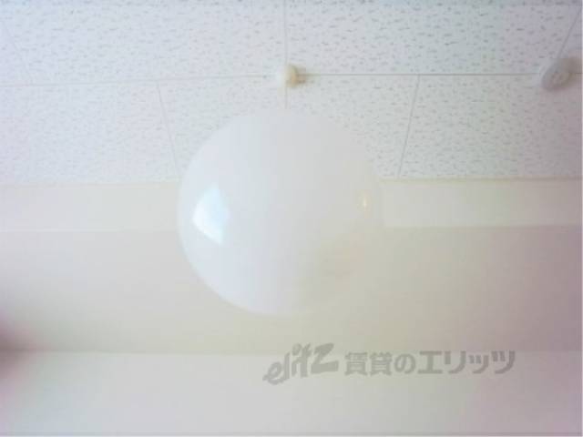 照明