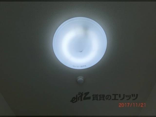 照明