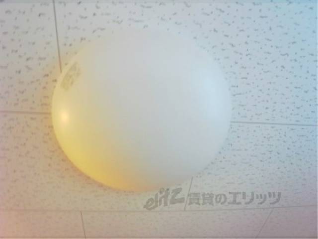 照明