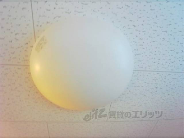 照明