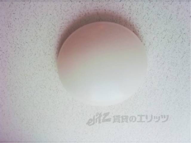 照明
