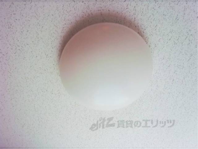 照明
