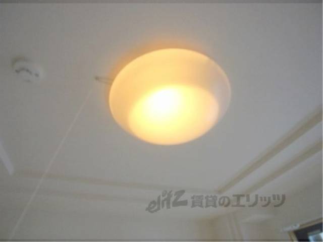 照明