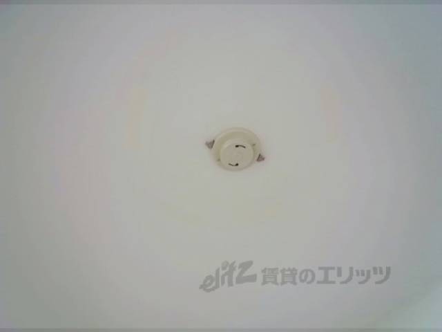 照明コンセント