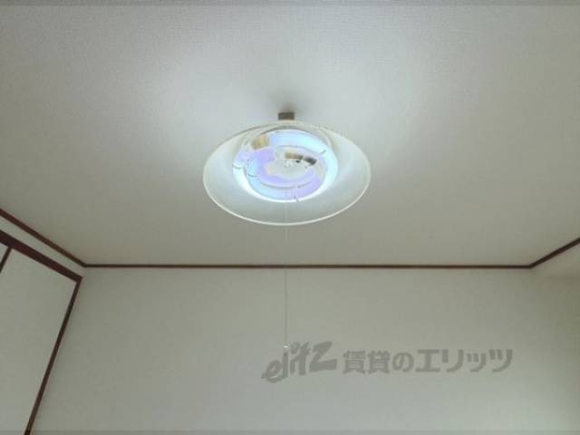 照明