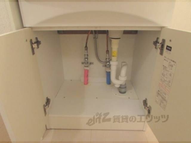 シャンプードレッサー