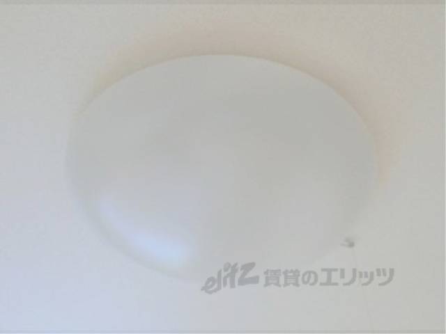 照明