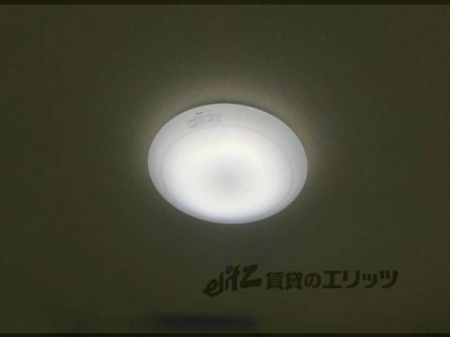 照明