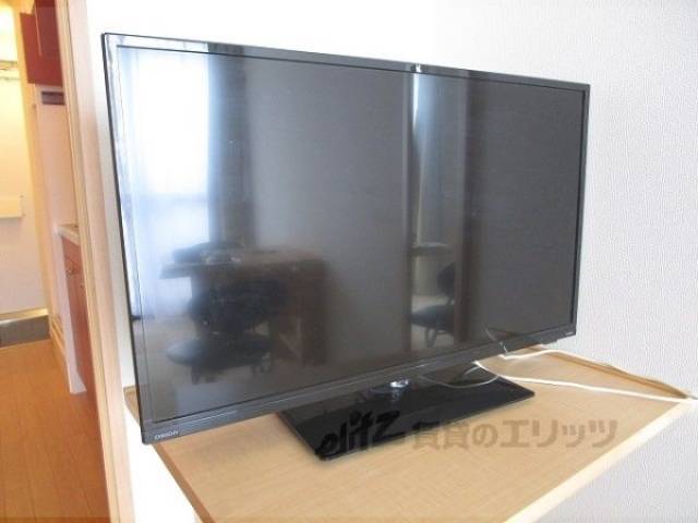 テレビ