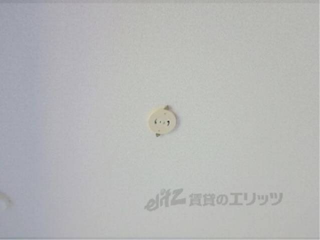 照明