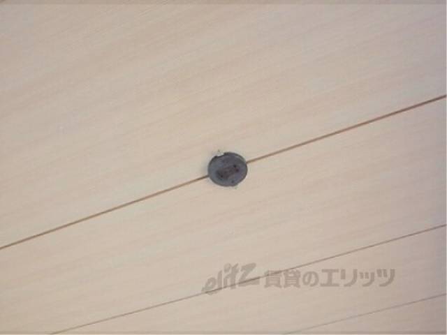 照明