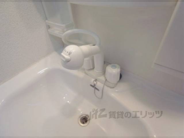 シャンプードレッサー