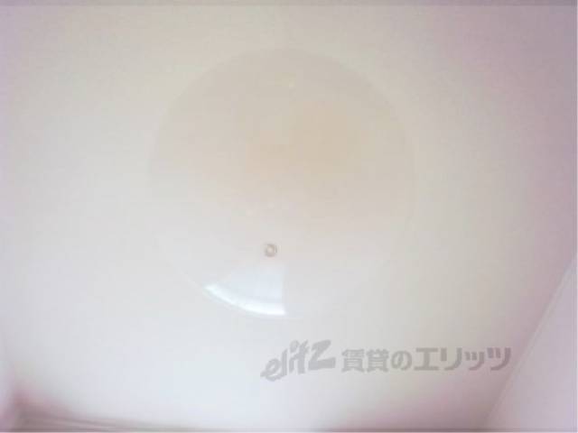 照明
