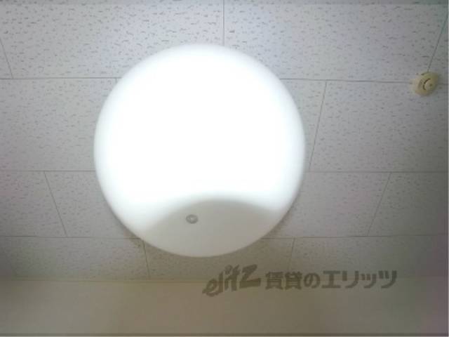 照明