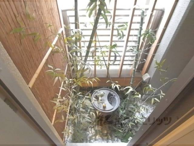 玄関横植栽