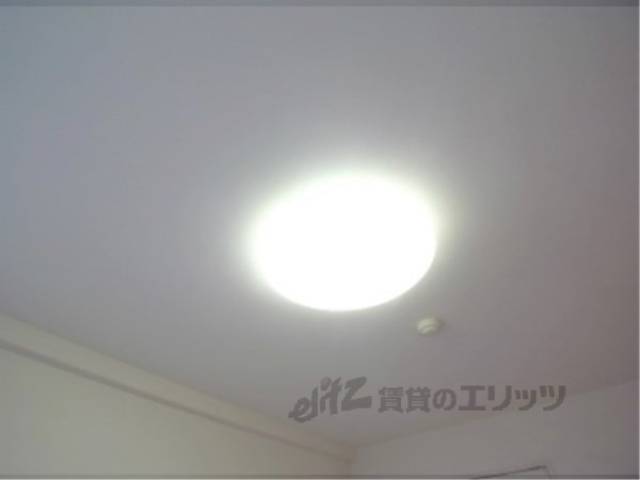 照明