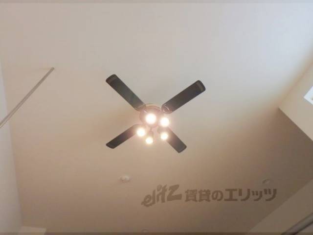 照明