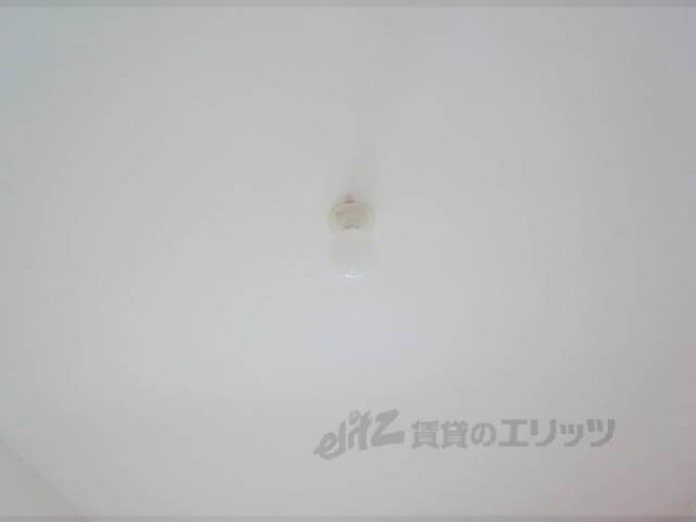 照明