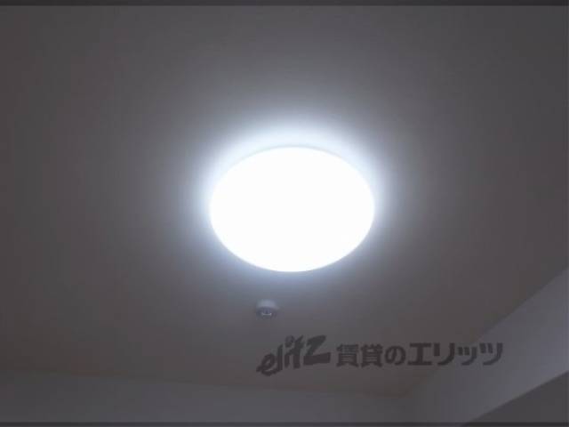 照明