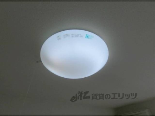照明