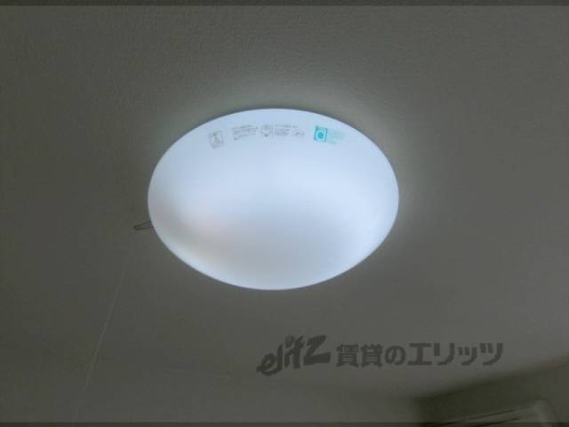 照明