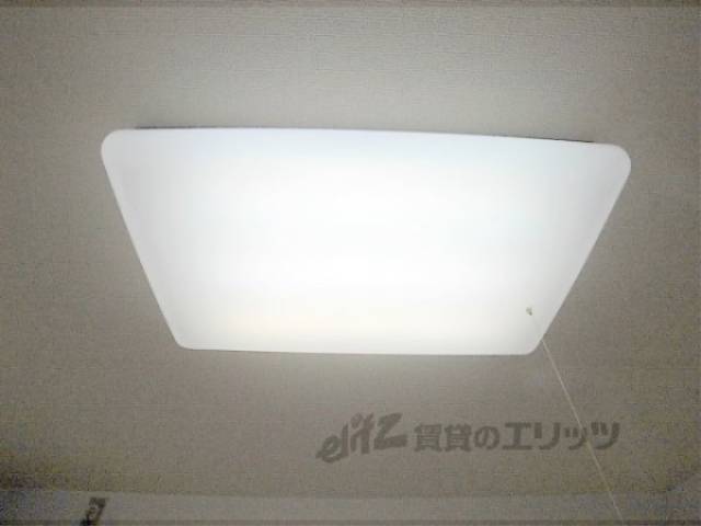 照明
