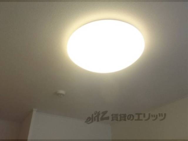 照明