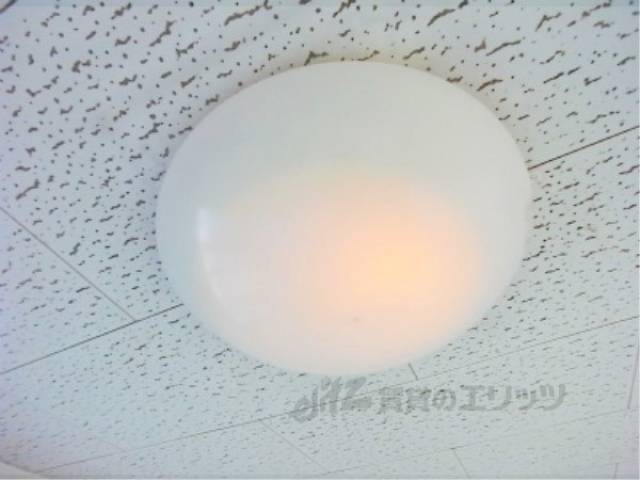 照明